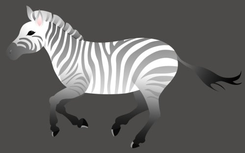 zebre noir et blanc